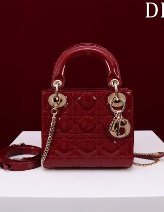 레이디 디올 미니 백