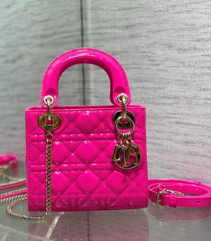 레이디 디올 미니 백