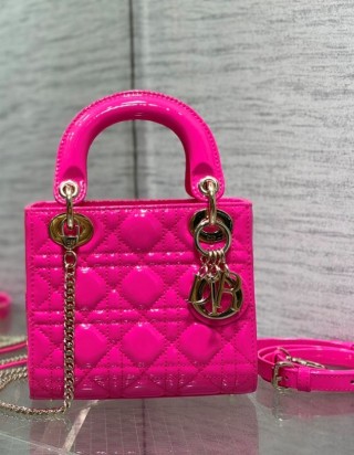 레이디 디올 미니 백