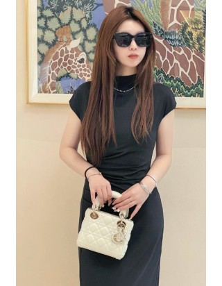 레이디 디올 미니 백