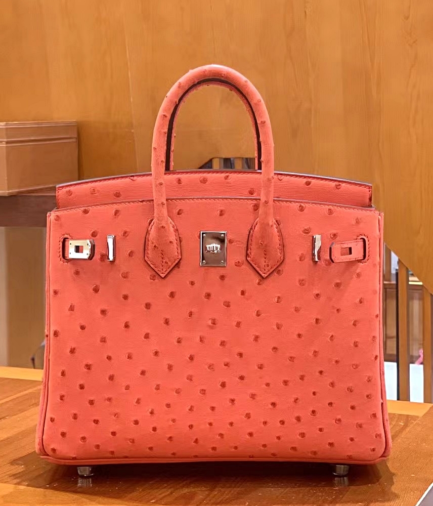 에르메스 버킨25 오스트리치