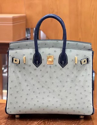 에르메스 버킨25 오스트리치