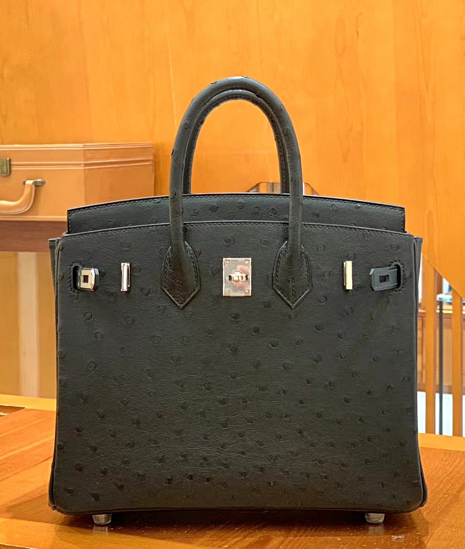 에르메스 버킨25 오스트리치