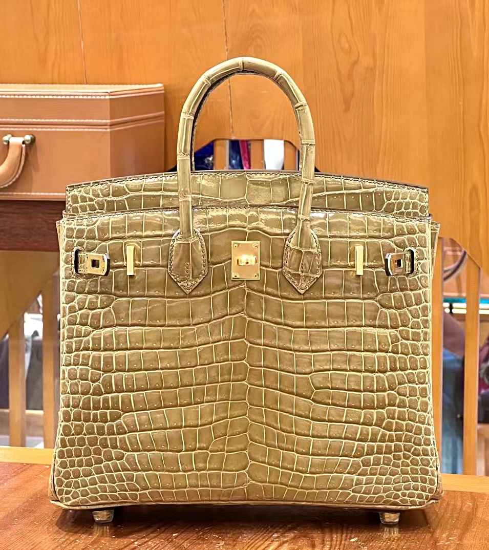 에르메스 버킨25 악어