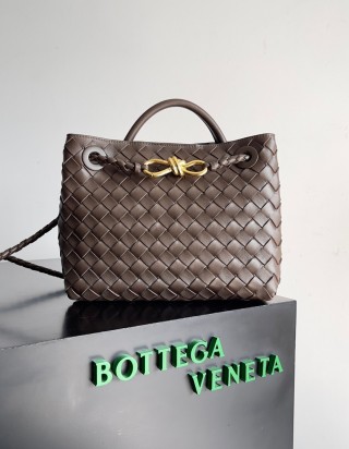 보테가 베네타 안디아모 스몰