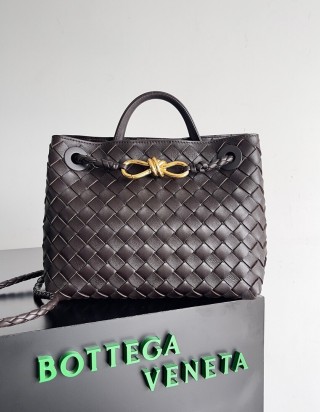 보테가 베네타 안디아모 스몰