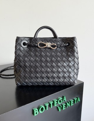 보테가 베네타 안디아모 스몰