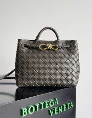 보테가 베네타 안디아모 스몰