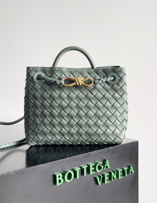 보테가 베네타 안디아모 스몰