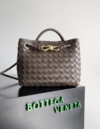 보테가 베네타 안디아모 스몰