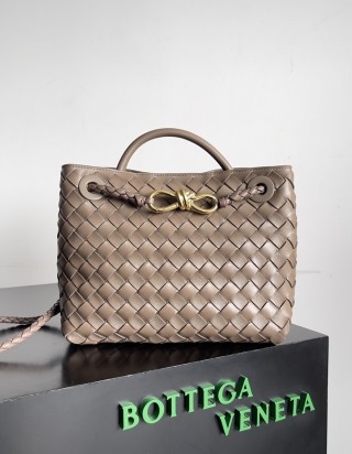 보테가 베네타 안디아모 스몰