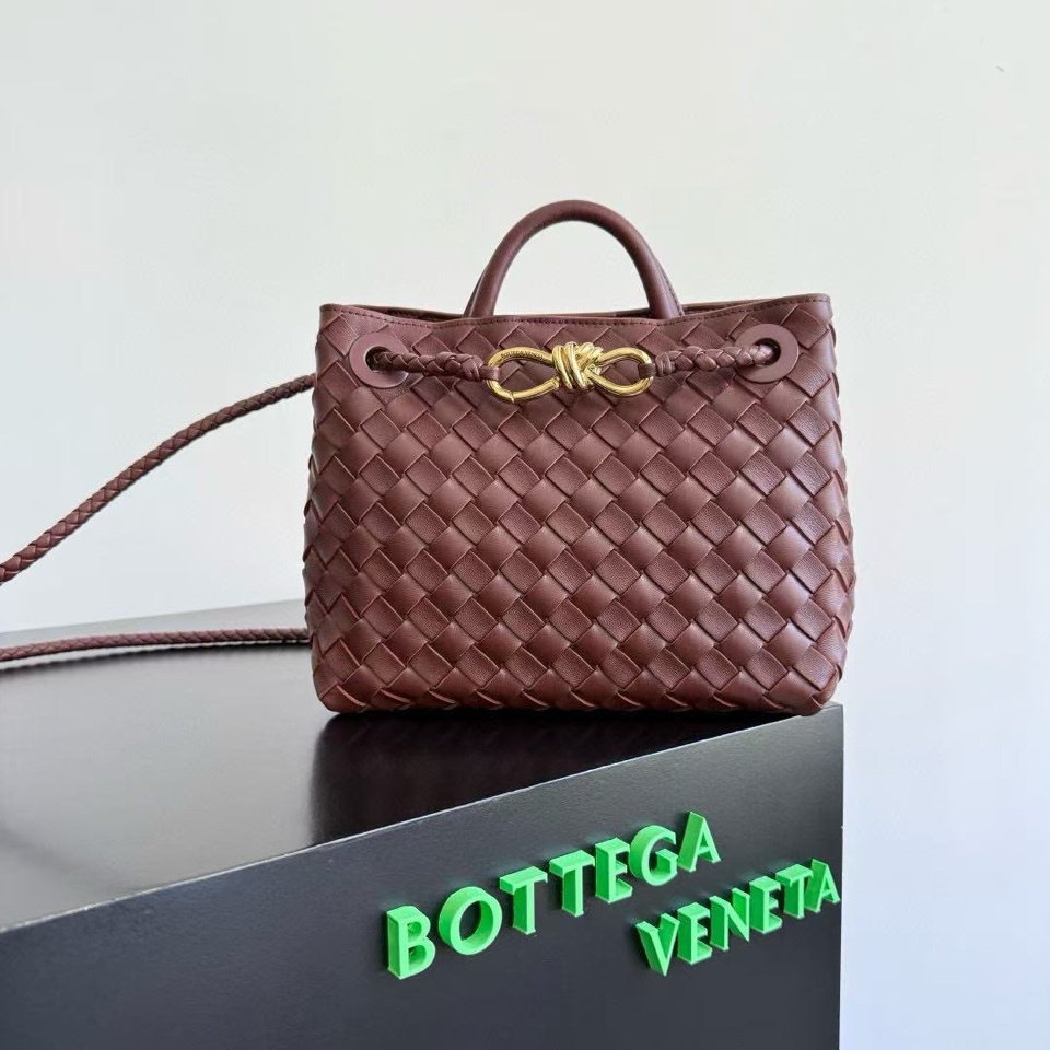 보테가 베네타 안디아모 스몰