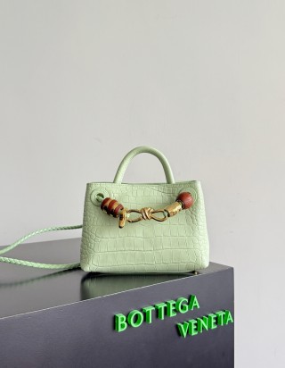 보테가 베네타 미니 안디아모