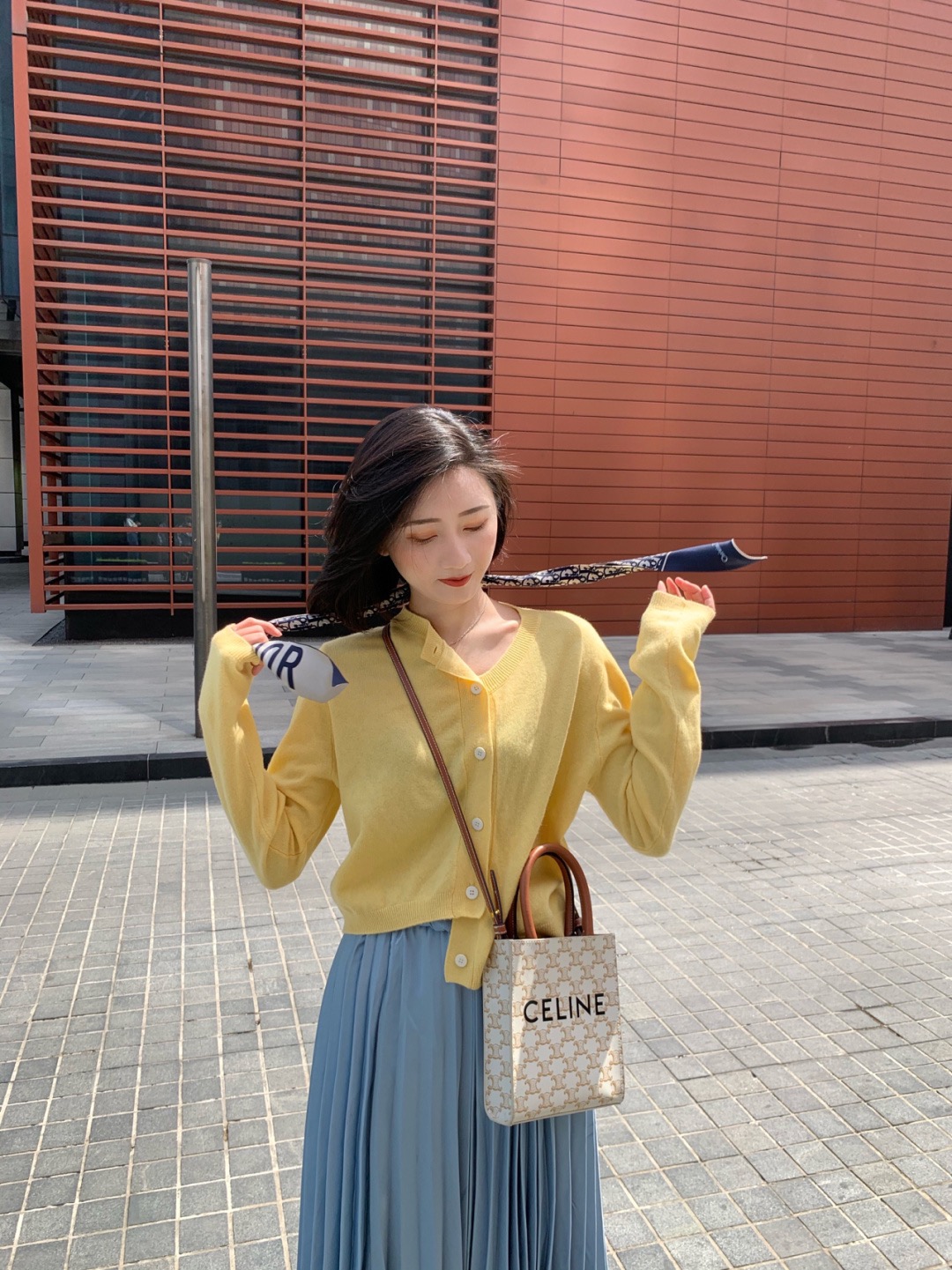 셀린느 트리옹프 스몰 버티컬 카바스 백