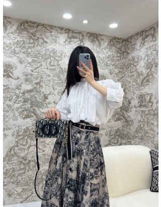 디올 오블리크 시그니처 미니백