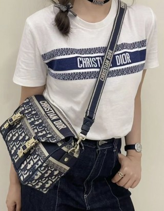 디올 오블리크 자수 스몰 숄더백