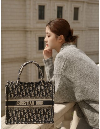디올 북 토트 백 스몰