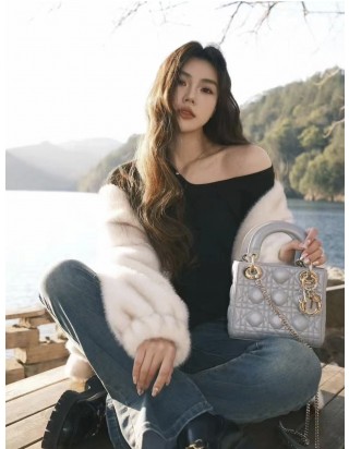 디올 레이디 미니 백