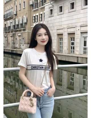 디올 레이디 미니 백