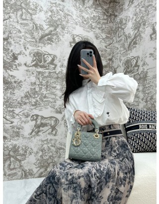 디올 레이디 미니 백