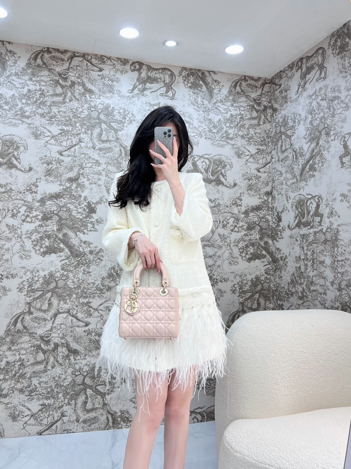 디올 레이디 스몰 백