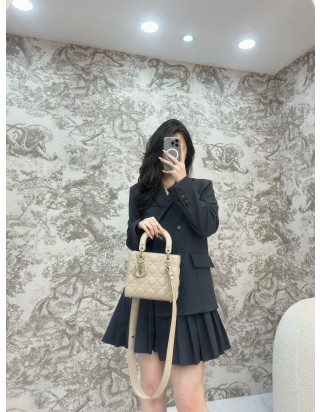 디올 레이디 스몰 백