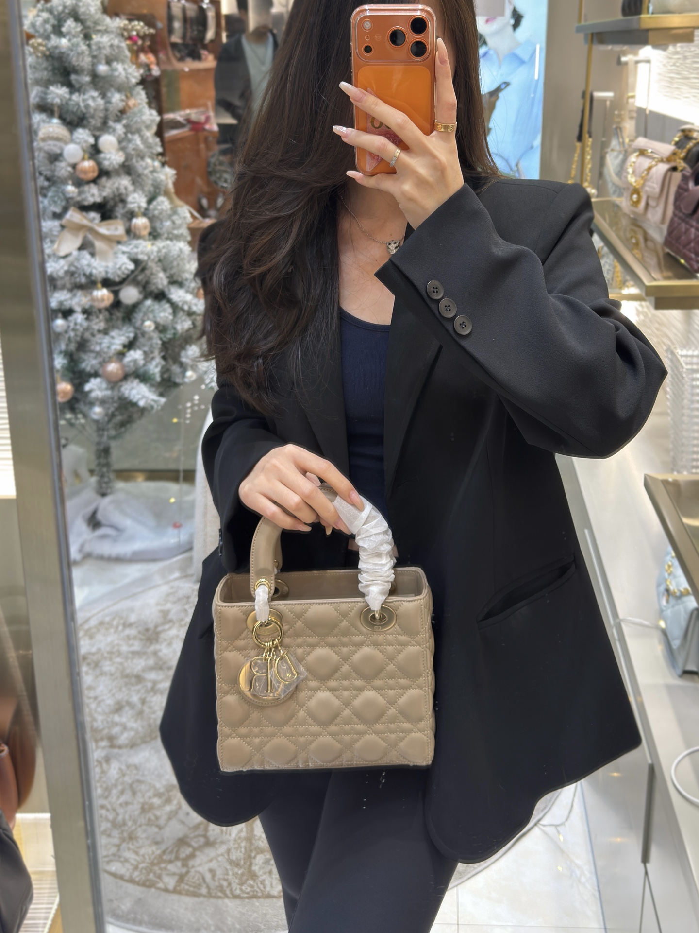 디올 레이디 스몰 백