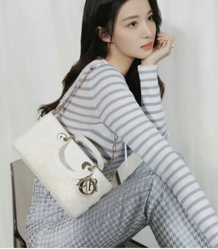 디올 레이디 디 조이 미디움 백