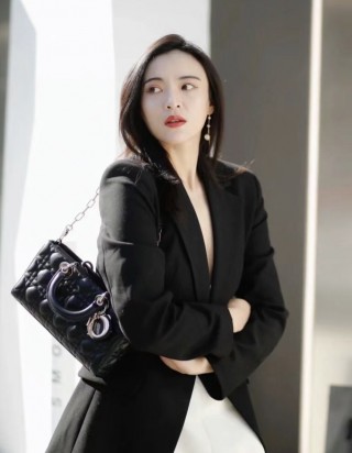 디올 레이디 디 조이 미디움 백