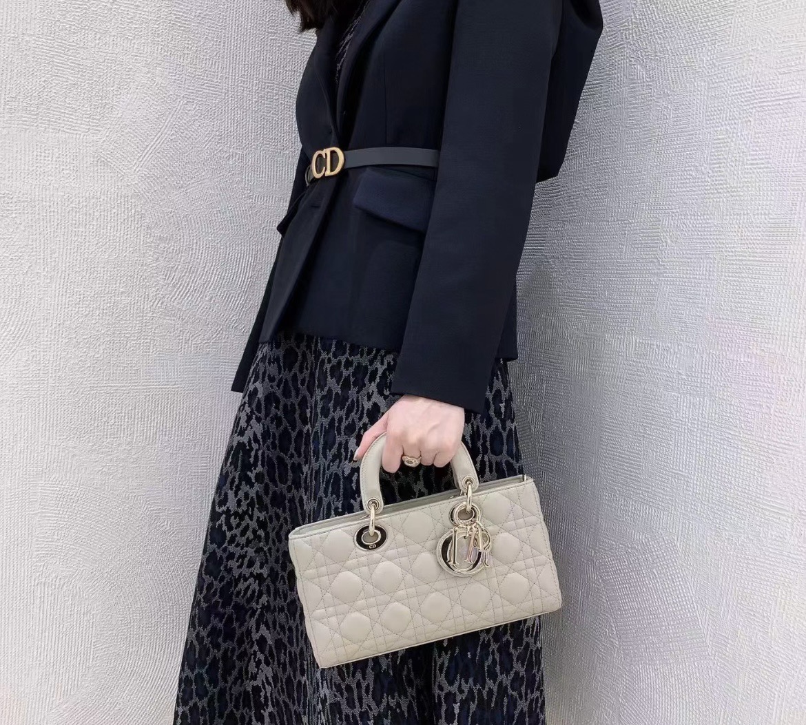 디올 레이디 미디움 백