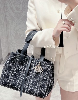 디올 뚜주흐 토트백 미디움