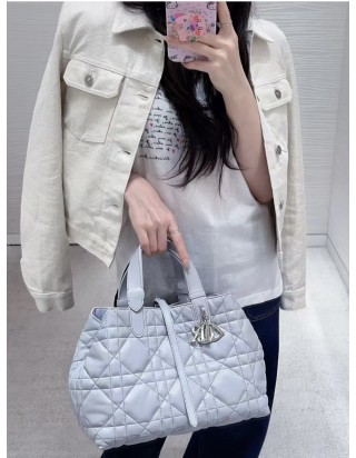 디올 뚜주흐 토트백 미디움