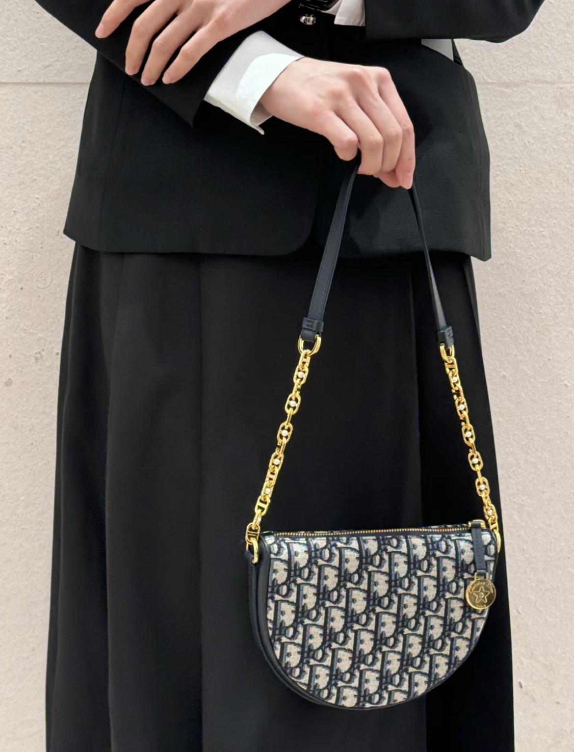 디올 스타 칼리스토 백