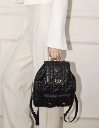 디올 카로 미디움 백팩