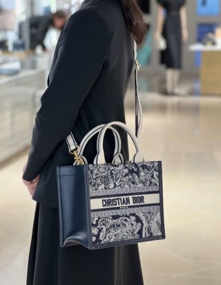 디올 북 토트백 스몰