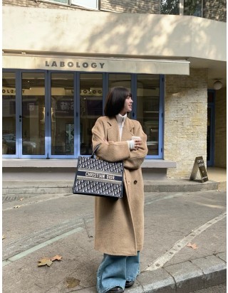 디올 북 토트백 미디움