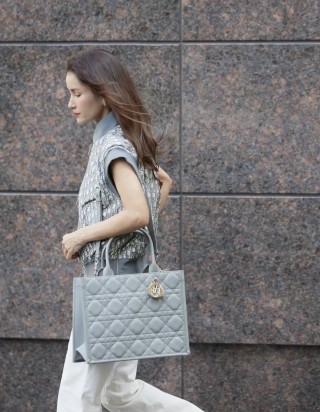 디올 북 토트백 미디움