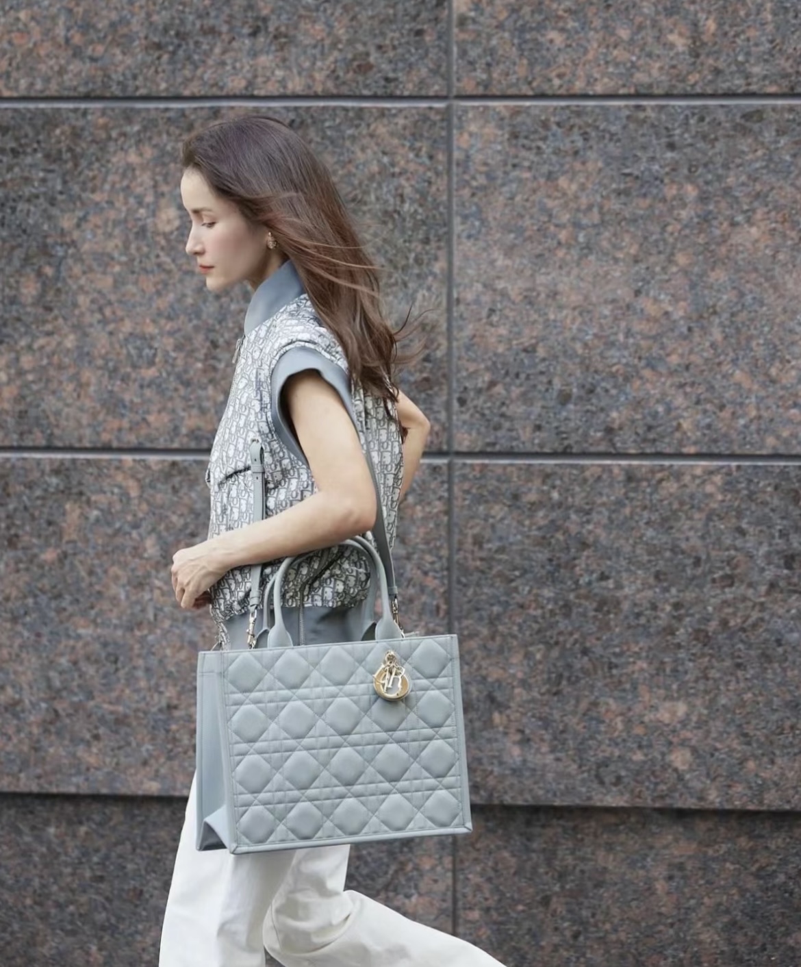 디올 북 토트백 미디움