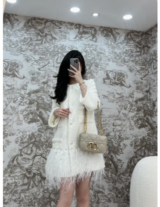 디올 카로 스몰 백