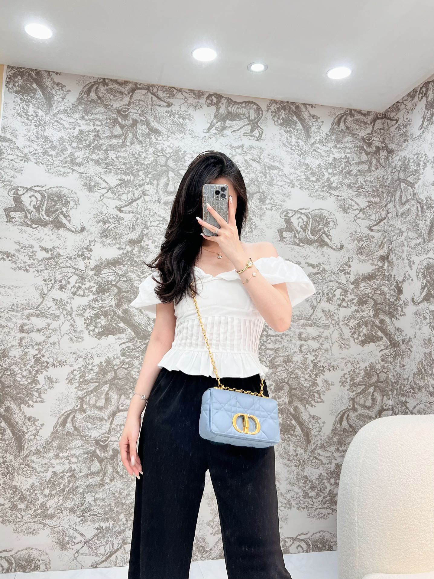 디올 카로 스몰 백