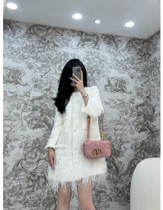 디올 카로 스몰 백