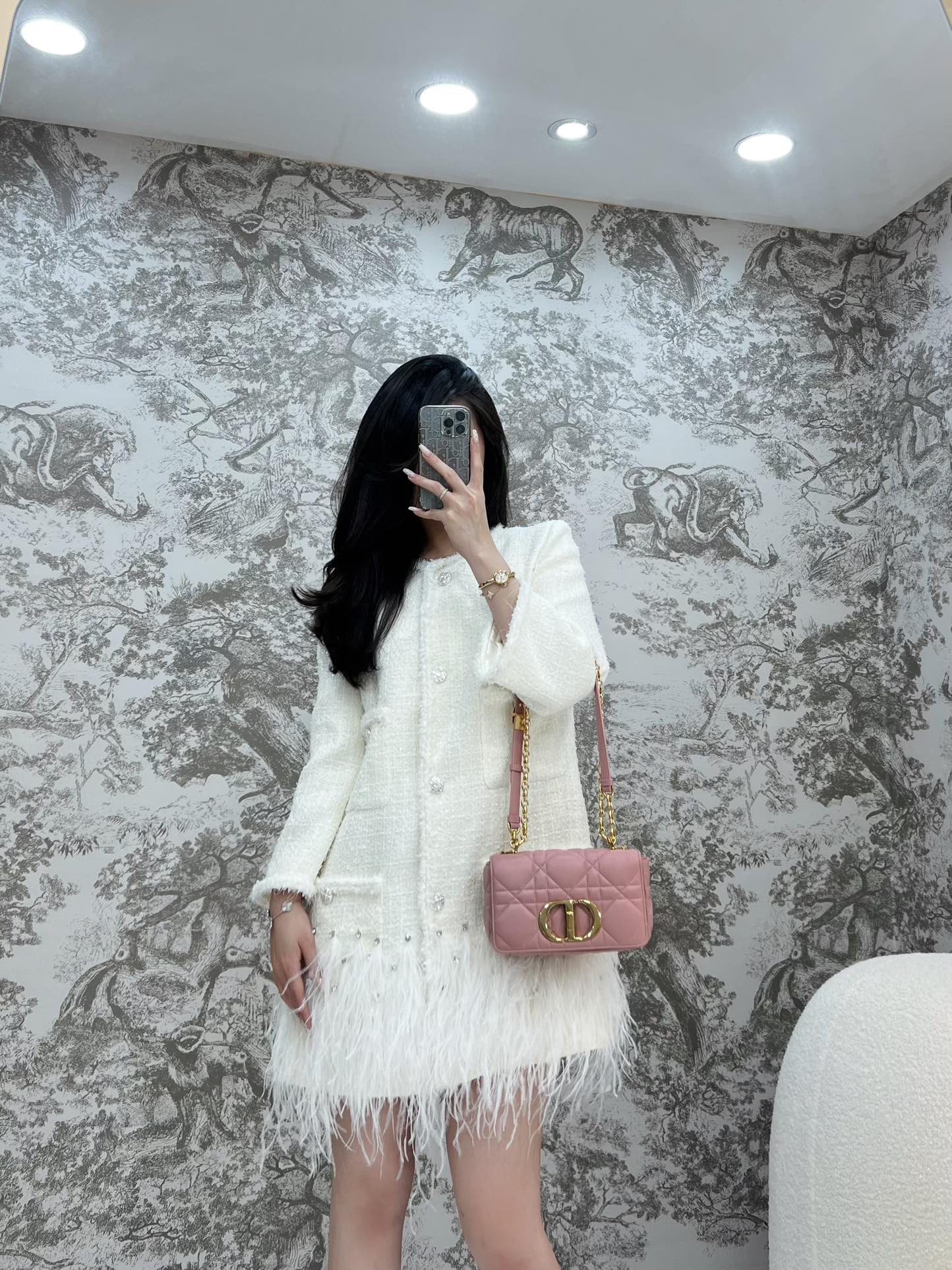 디올 카로 스몰 백