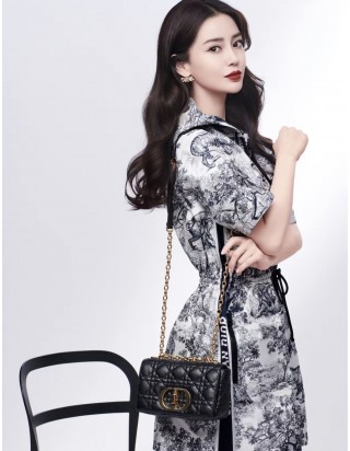 디올 카로 스몰 백