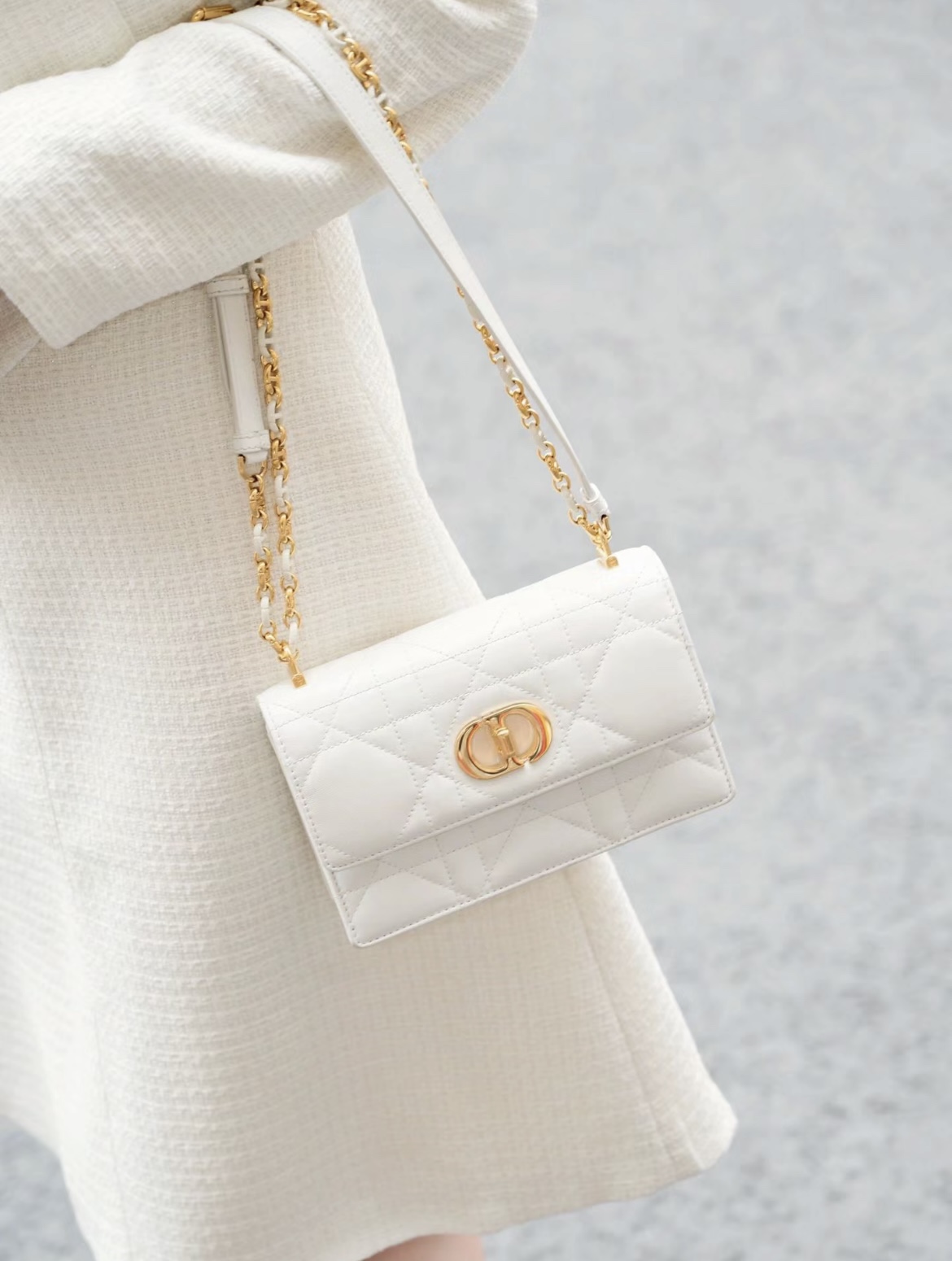 디올 미스 카로 스몰백