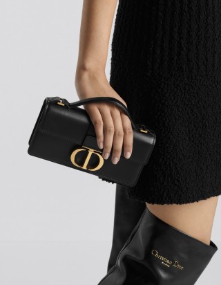 디올 미스 몽테인 미니 백