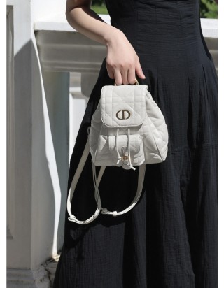 디올 카로 스몰 백팩