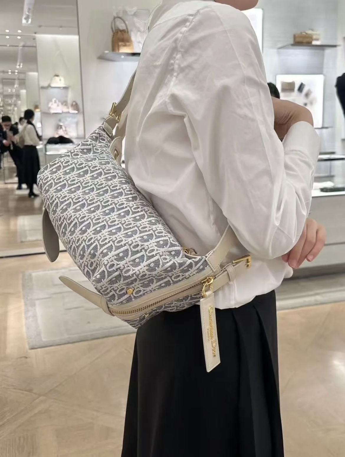 디올 디저니 스몰 백