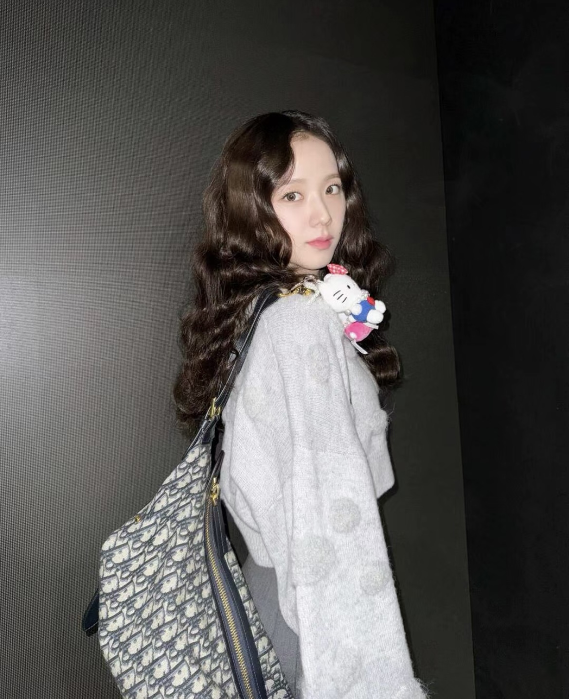 디올 디저니 미디움 백