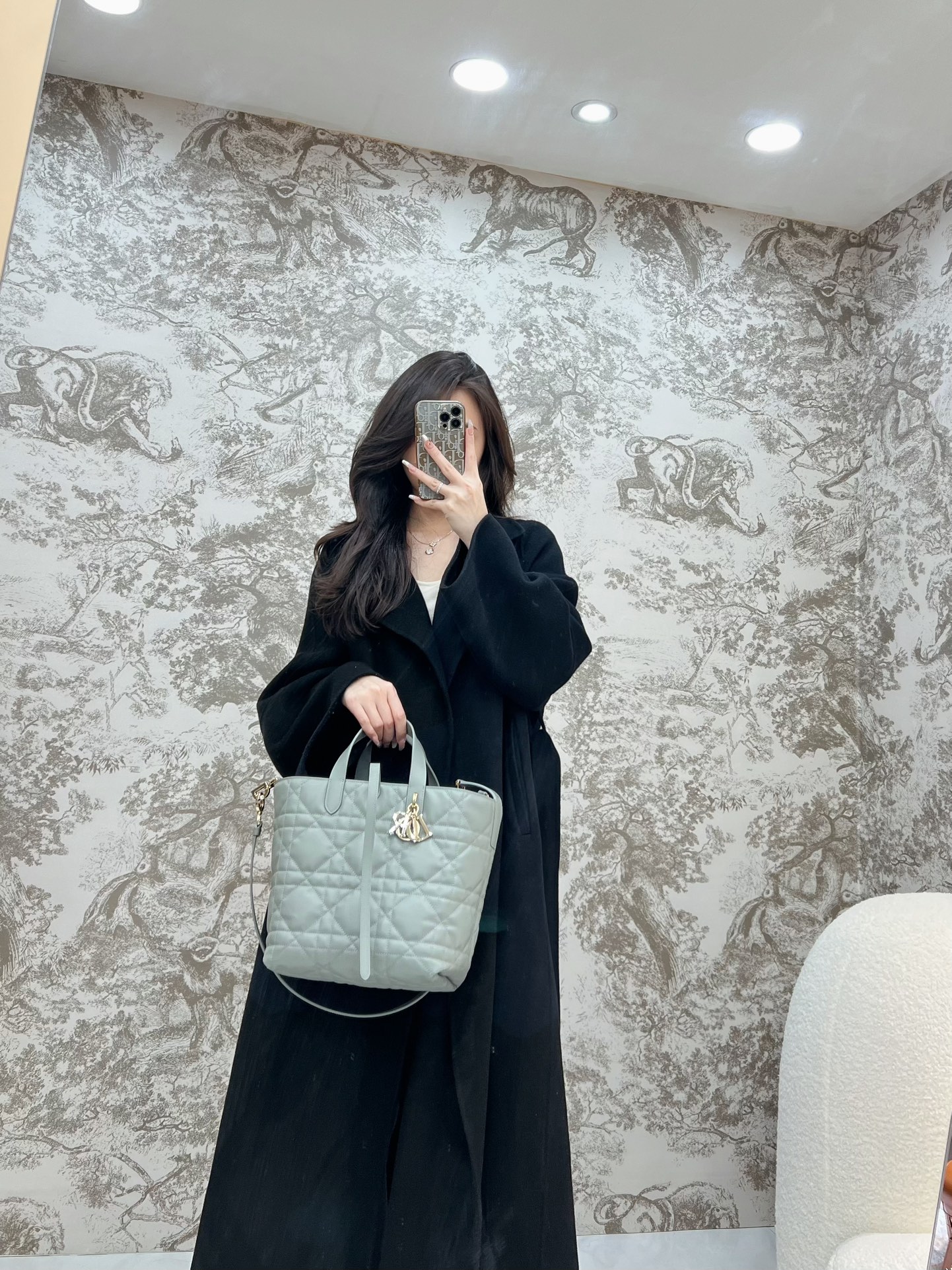 디올 뚜주흐 미디움 버티컬 토트 백