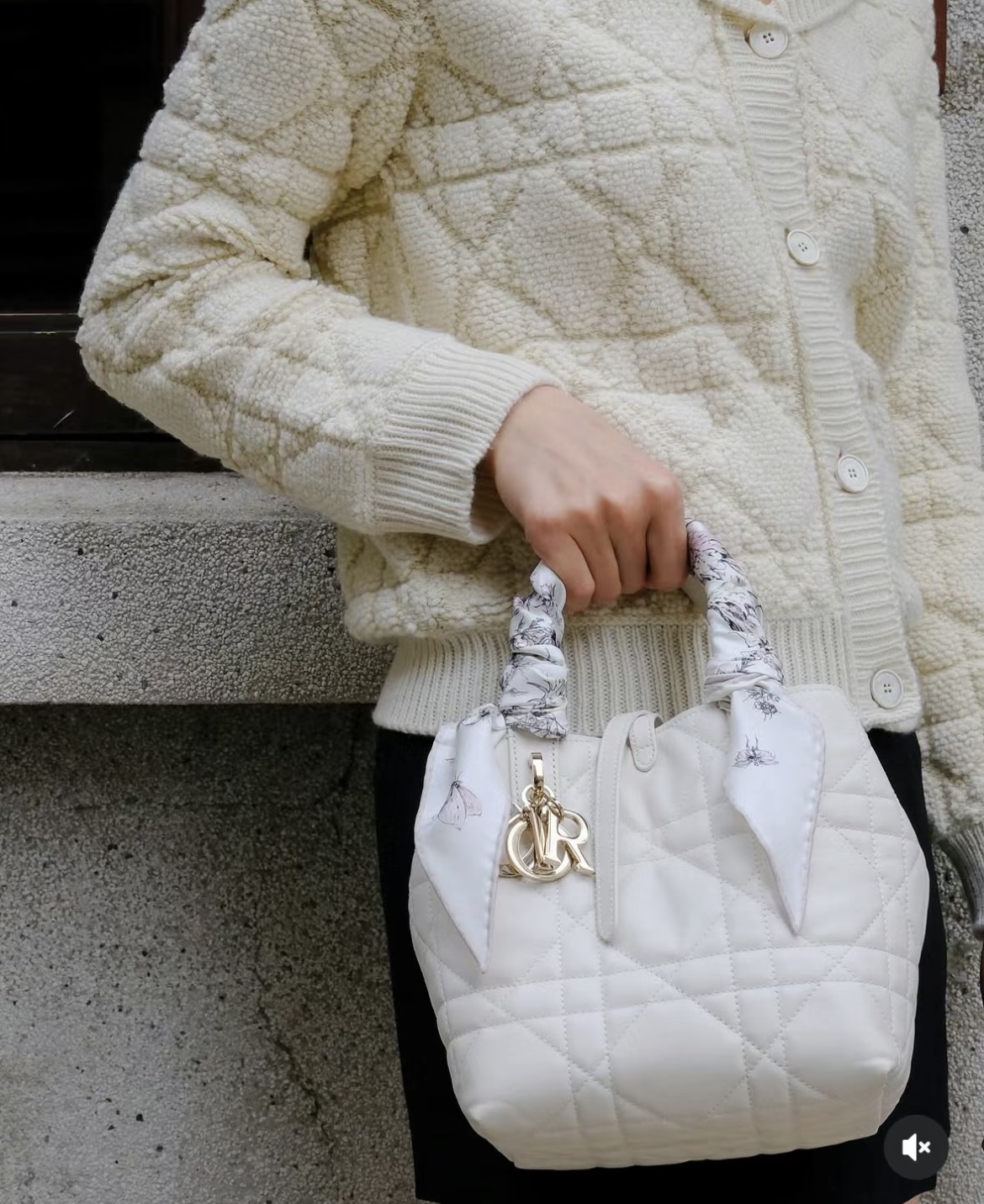 디올 뚜주흐 스몰 버티컬 토트 백